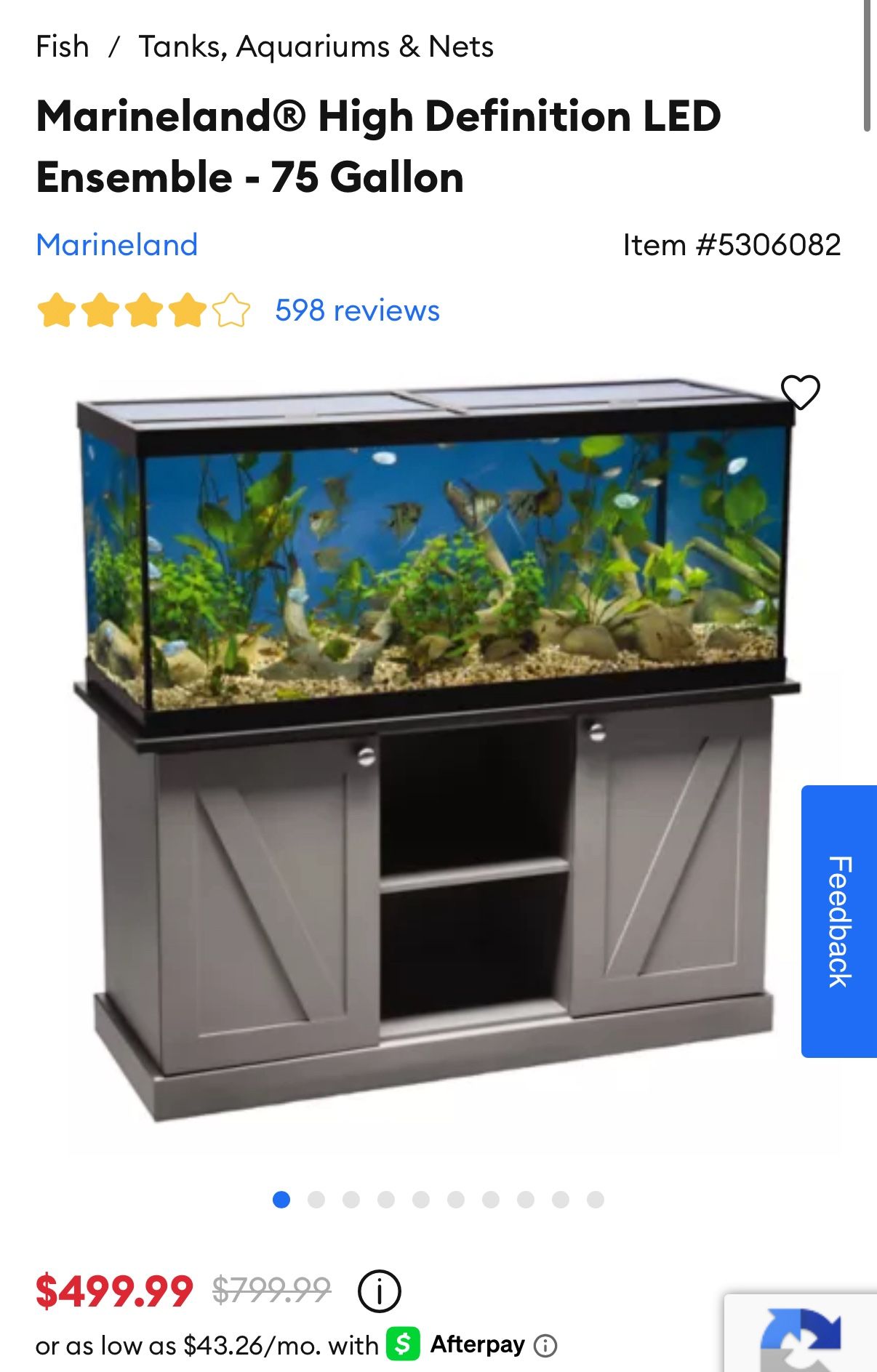 Tank Fish