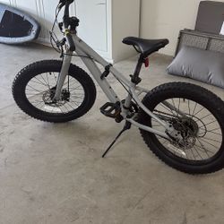 Giant Kids Mountain Bike