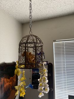 Caged Elephants $30