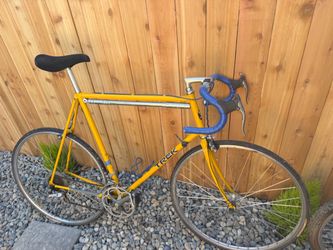 Two bicycles for Trek an Raliegh