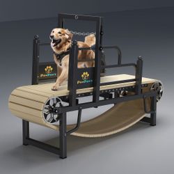 Dog treadmill