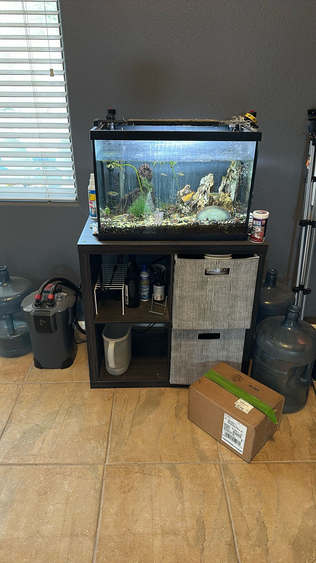 20 Gallon Tank With Stand, Canister, And Fish