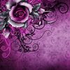 Donna
