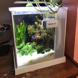 Fluval Spec 2.6