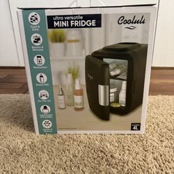 Mini Fridge 