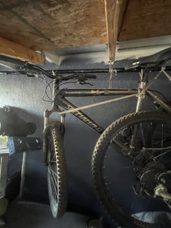 specialized bike