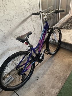 Beach Cruiser Bile