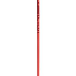 Ski Poles Leki