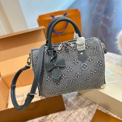 LV Handbag
