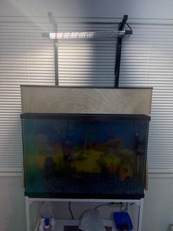 Large Glass Aquarium Tank with LED Light