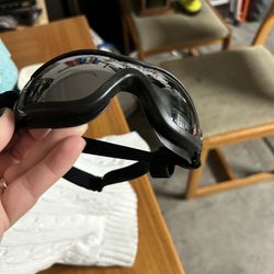 Dog Goggles 