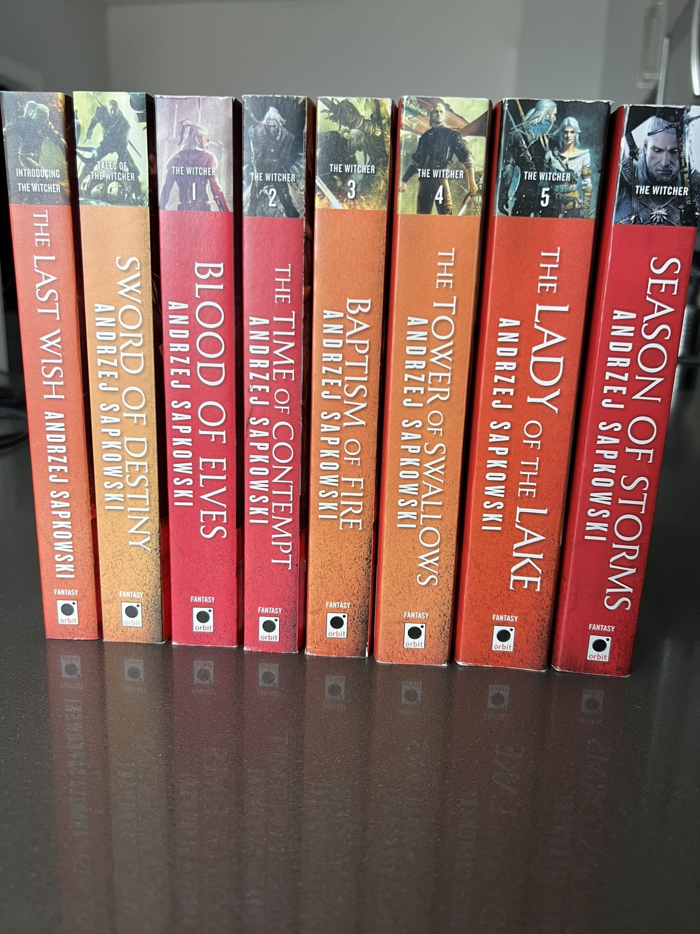Witcher Novels (Video Game Covers)
