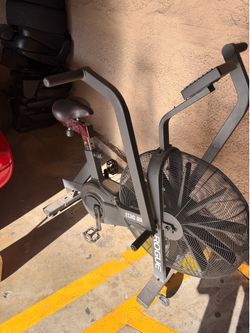 Rogue echo bike
