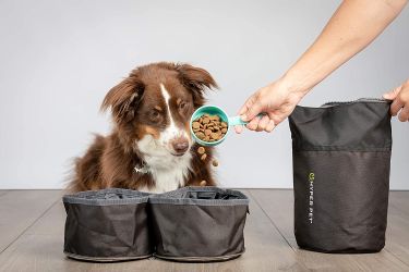 Hyper Pet Double Diner Collapsible Dog Bowl for Food & Water (Collapsible Travel Accessories Designed for Pets on The Go)