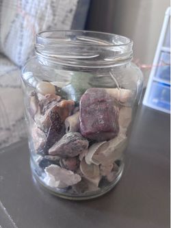 FREE rocks and seashells