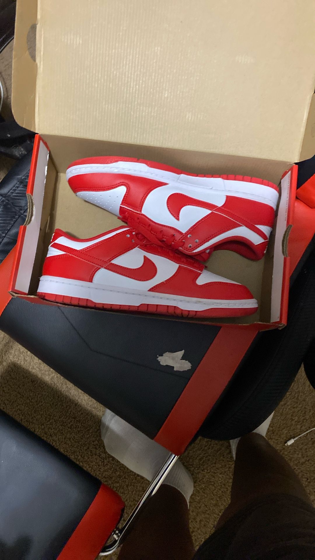 Nike Dunks Low Retro