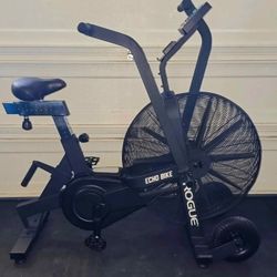 Rogues Echos Bikes 