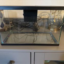 Top Fin 3 gallon tank