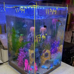 Fish Tank With Fishes 
