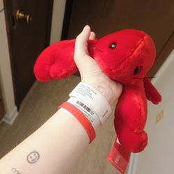 Huggable Lobster 