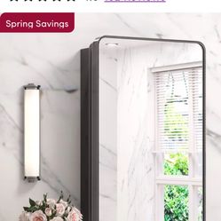 Gervon Rectangle Recessed Medicine Cabinet with Shelves