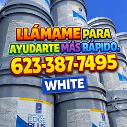 Pintira Y Primer White 