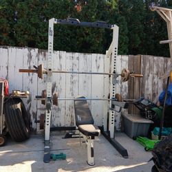 Bench, Pull Up Bar, Dip Bar