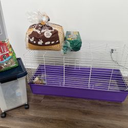 Guinea Pig Stuff