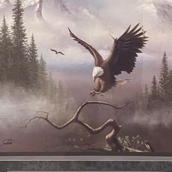 Soaring Bald Eagle Art Print