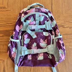 Pottery Barn Backpack 
