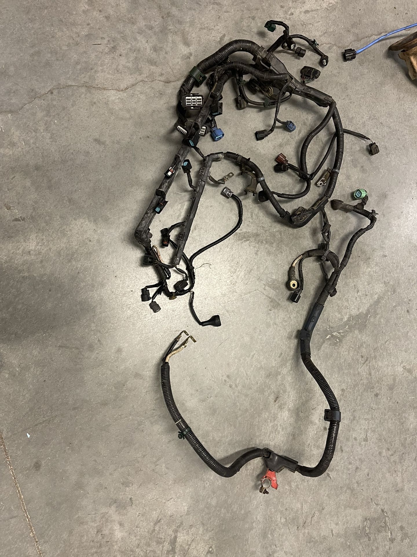 Acura K24 Harness 04-08