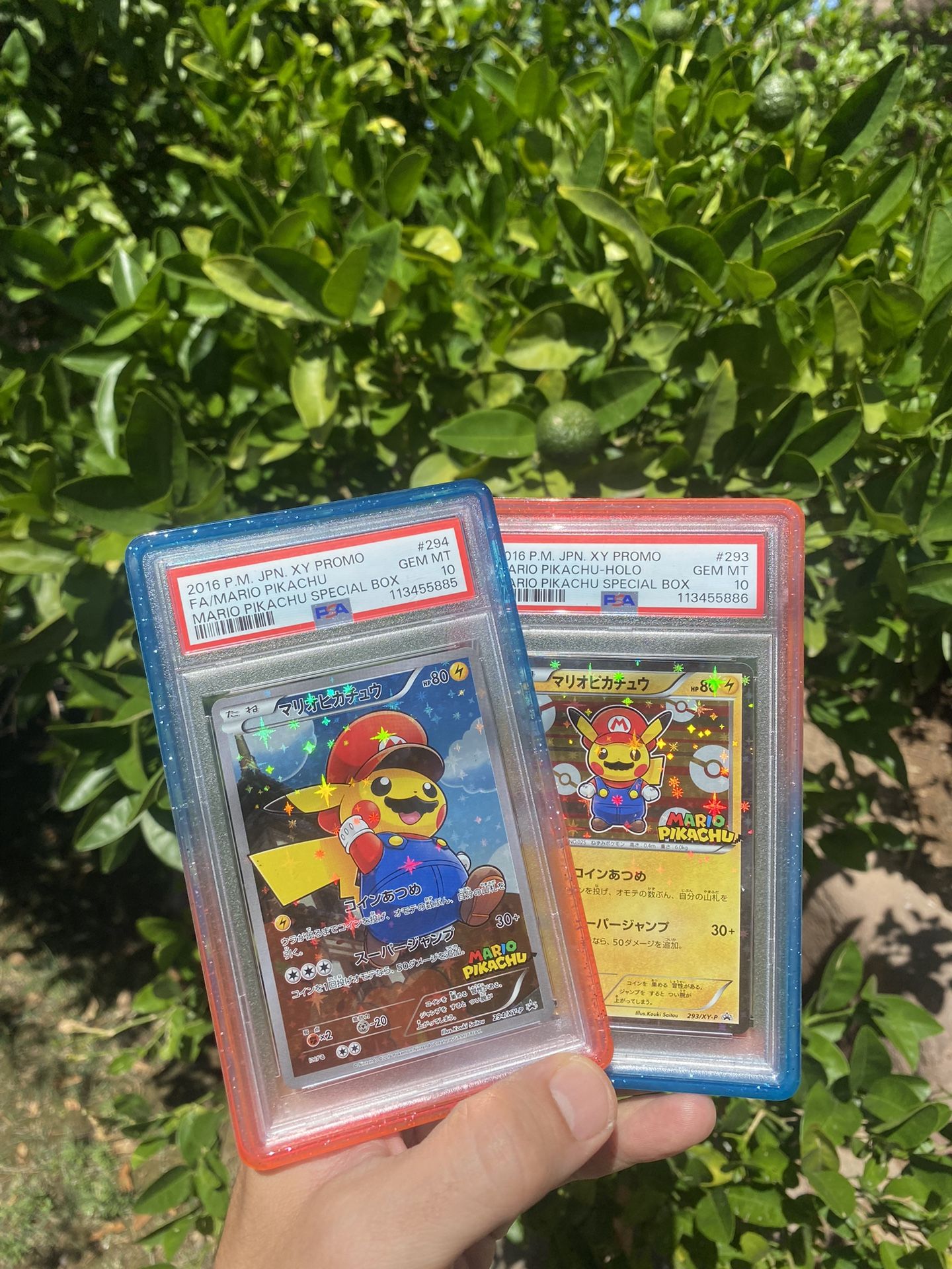 Poncho Pikachu Pokemon Rayquaza Psa 10 Mario