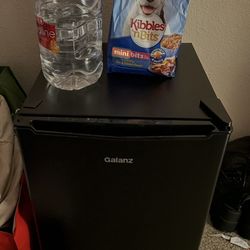 Galanz Mini Fridge 