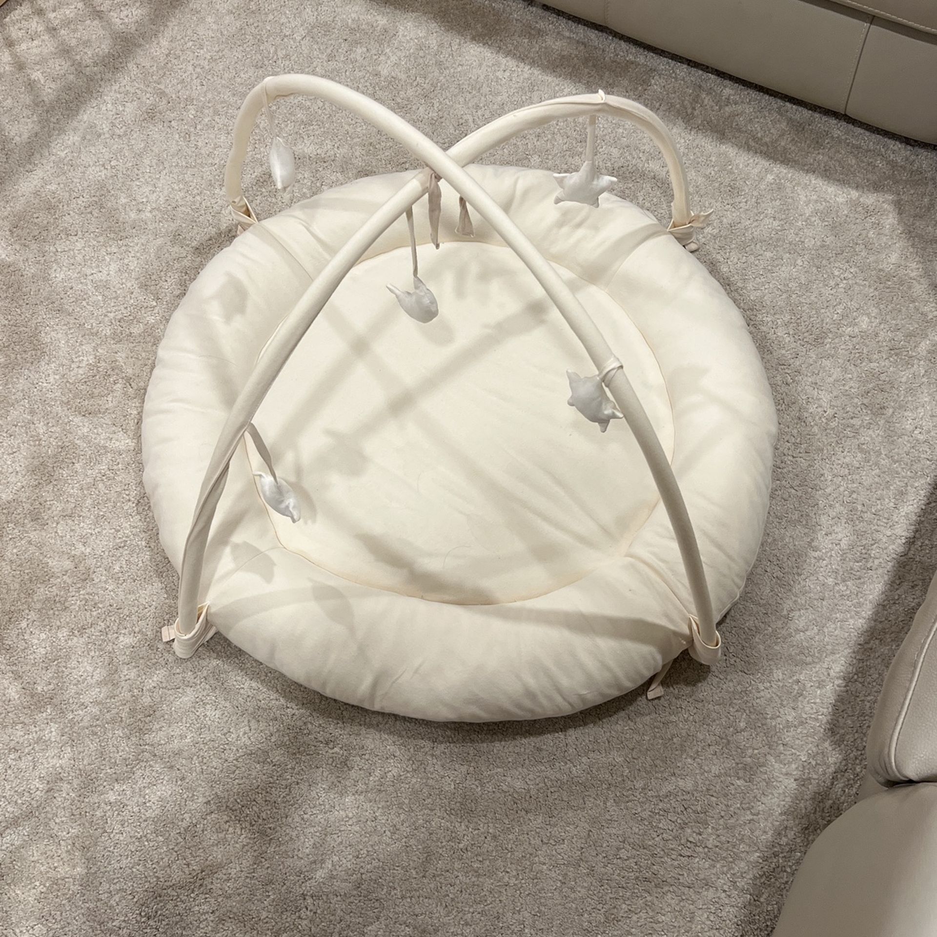 Beright Baby Gym