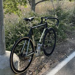 Bianchi Fixed Gear Bike 