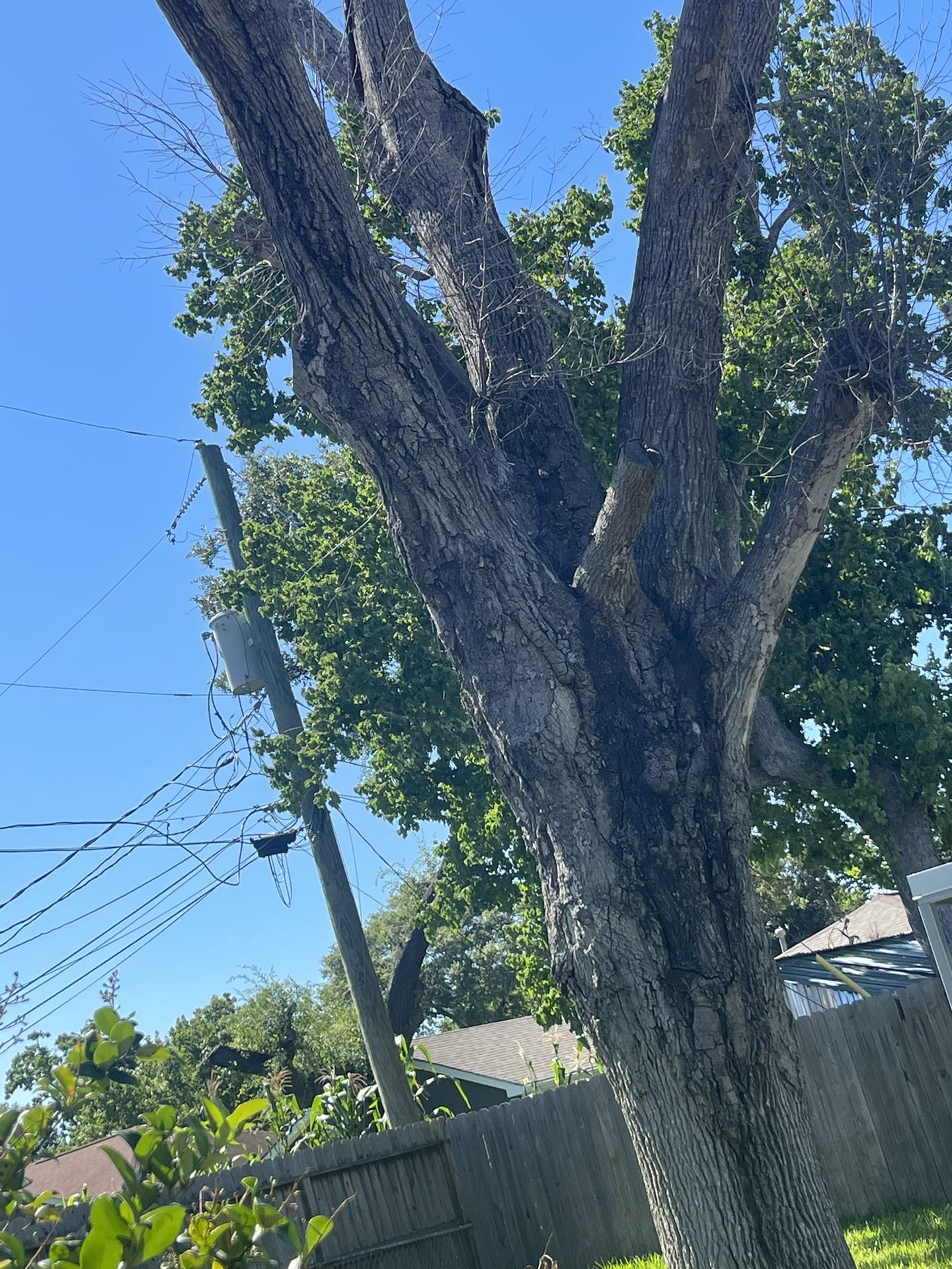 Fire Wood Baytown Area Pick Up Only