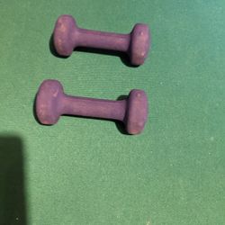 2 Pound Weights Plastic Grips