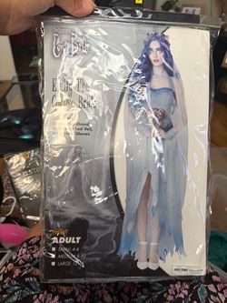 Used Adults costumes