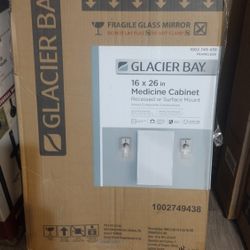 Second Set  16" X 26" Glacier Bay Medicine Cabinet 
