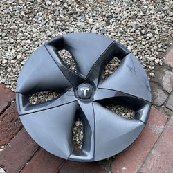 Tesla Hub Cap