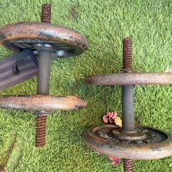 Dumbbell Set
