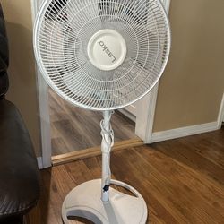 Nice Adjustable Oscillating Fan! Like New!