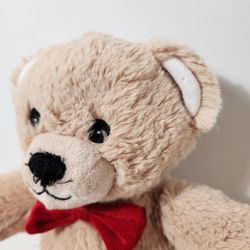 Edi Teddy Bear Stuffed Plush Doll Toy