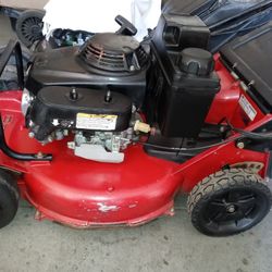 Toro Comercial