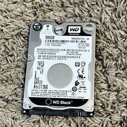 Computer Hard Drive 500 Gigabytes 