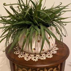 Pot Holder Vase Base Para Mata 