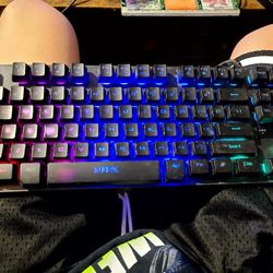 Computer/Mouse 