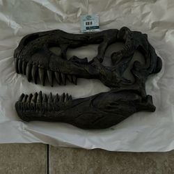 Tyrannosaurus Rex Head