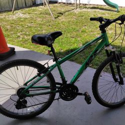 Mountain bike green