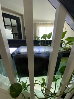 Aquaclear Fluval 110

